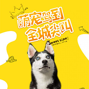 寵物詳情設(shè)計
