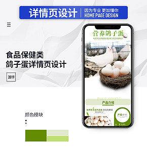 家養(yǎng)鴿子蛋詳情頁