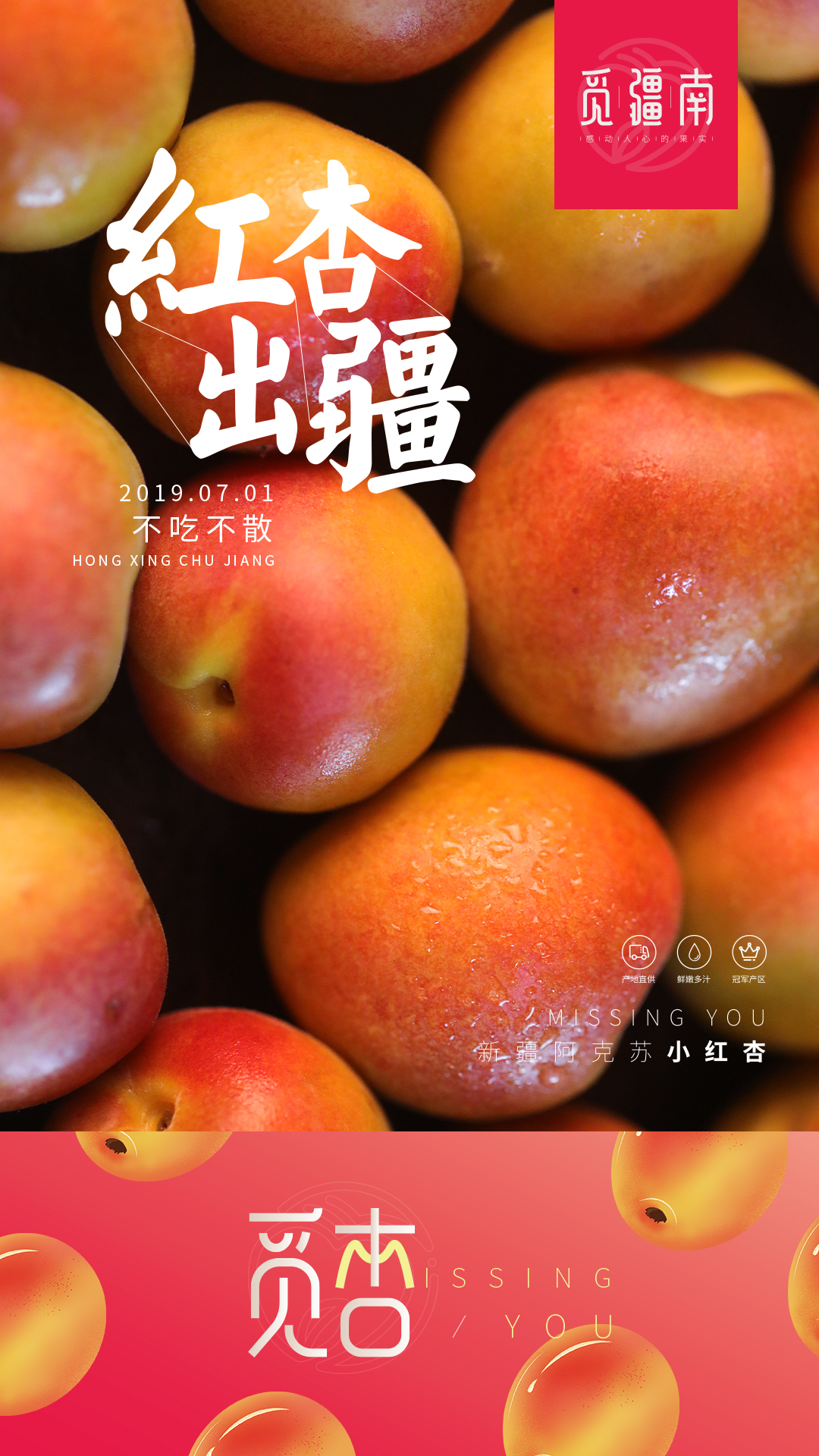 淘寶美工南小南覓疆南新疆小紅杏佟麗婭推薦作品