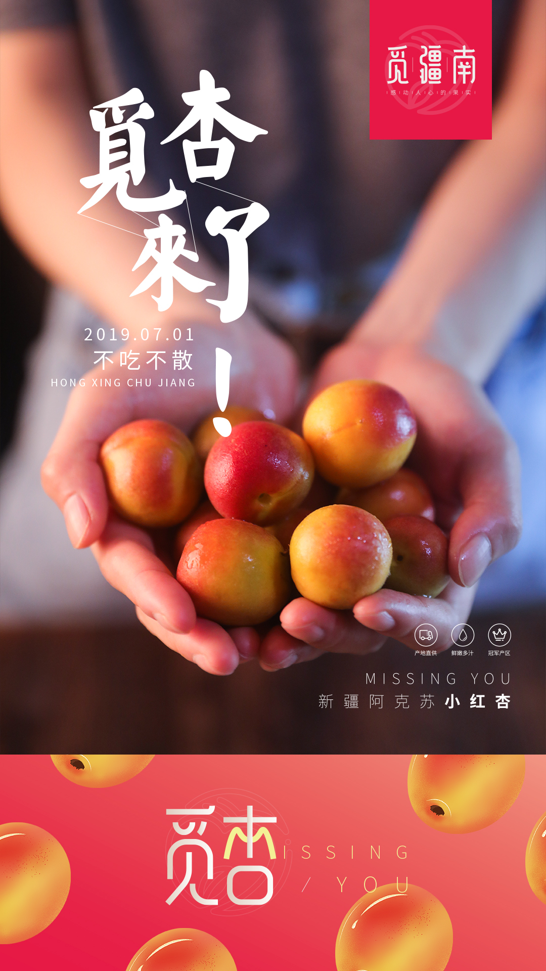 淘寶美工南小南覓疆南新疆小紅杏佟麗婭推薦作品