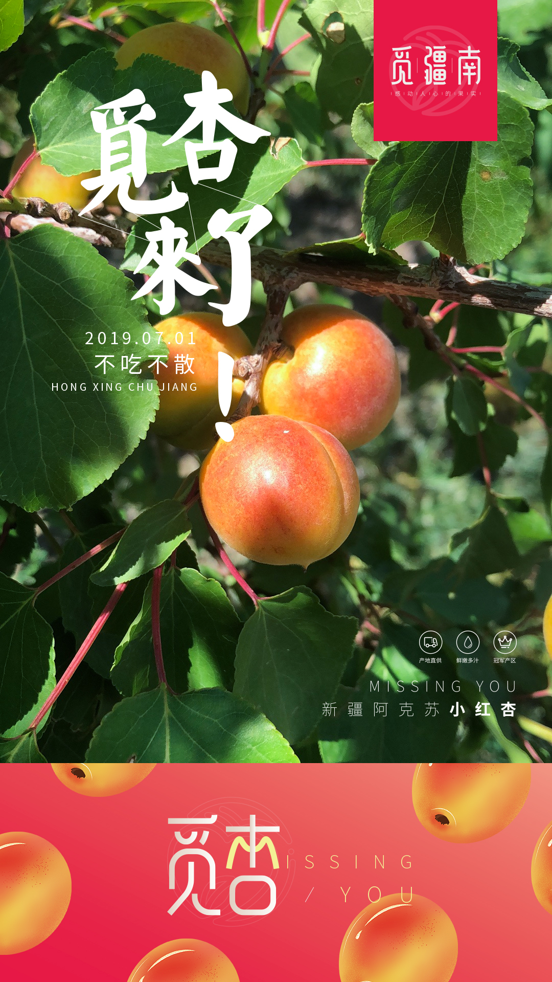 淘寶美工南小南覓疆南新疆小紅杏佟麗婭推薦作品