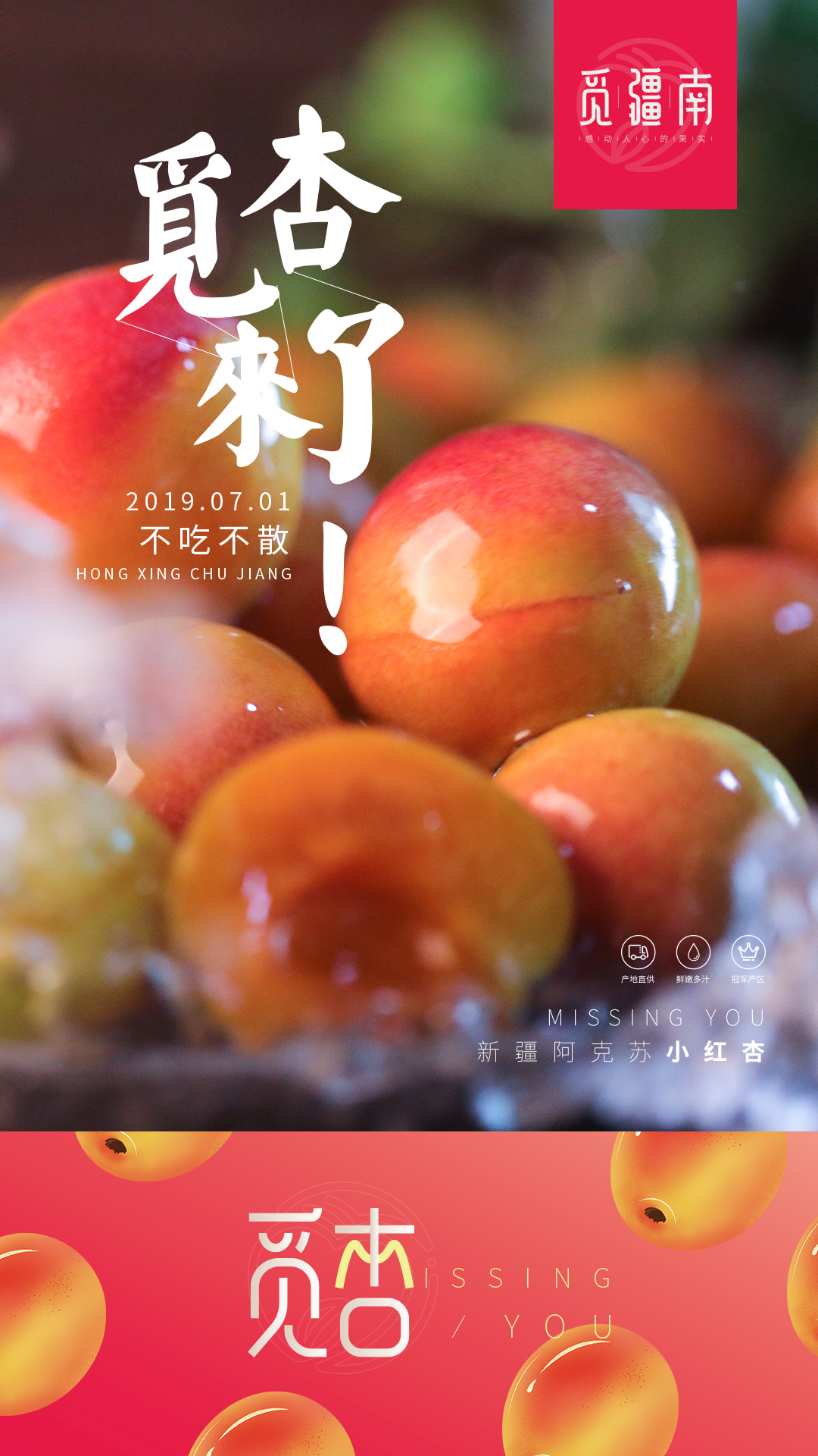 淘寶美工南小南覓疆南新疆小紅杏佟麗婭推薦作品