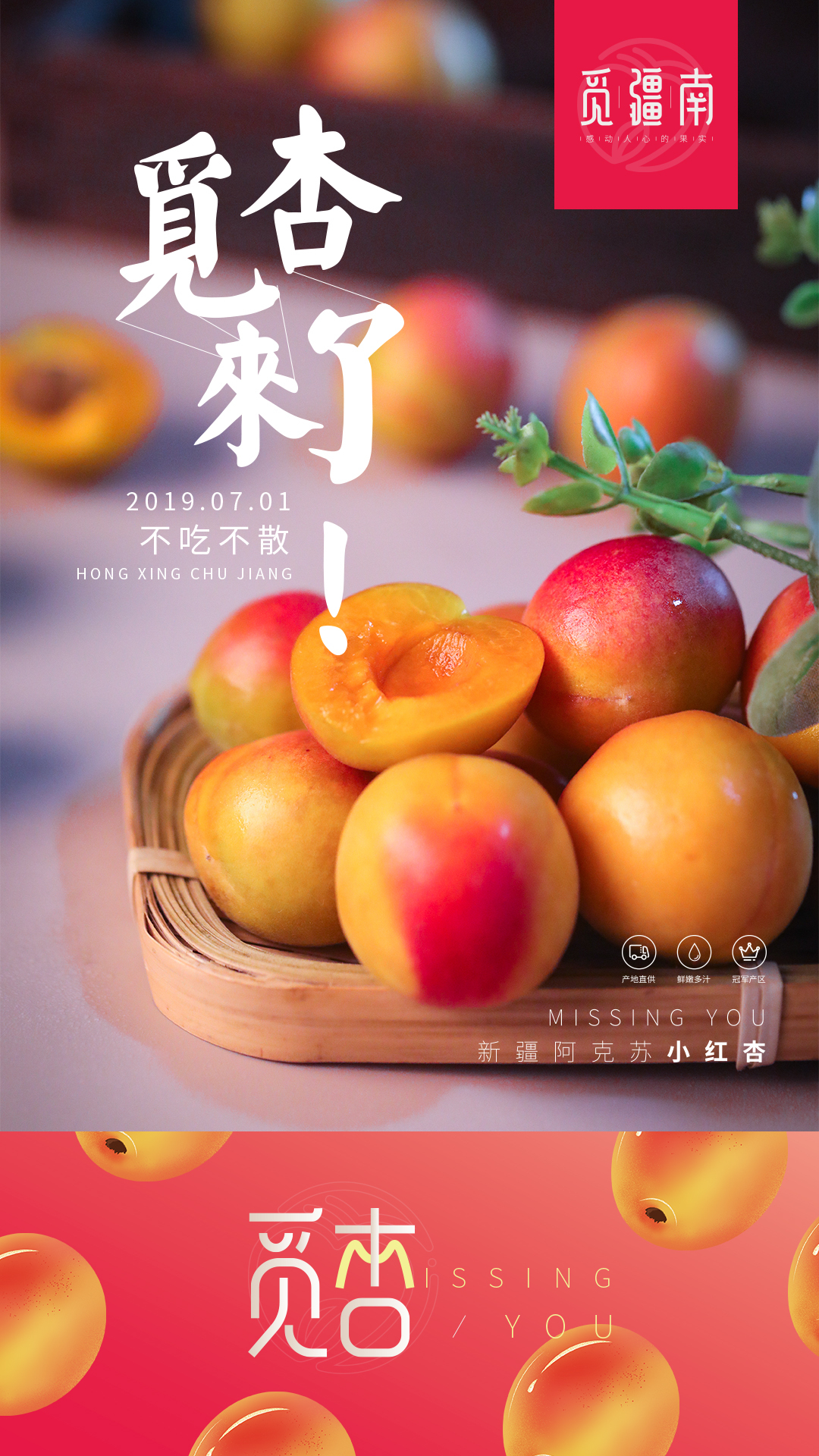 淘寶美工南小南覓疆南新疆小紅杏佟麗婭推薦作品