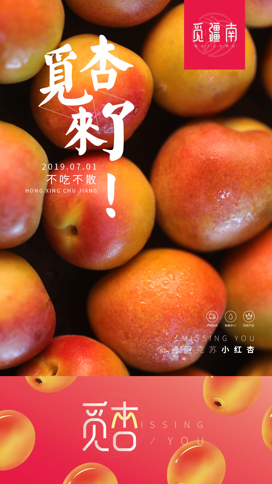 淘寶美工南小南覓疆南新疆小紅杏佟麗婭推薦作品