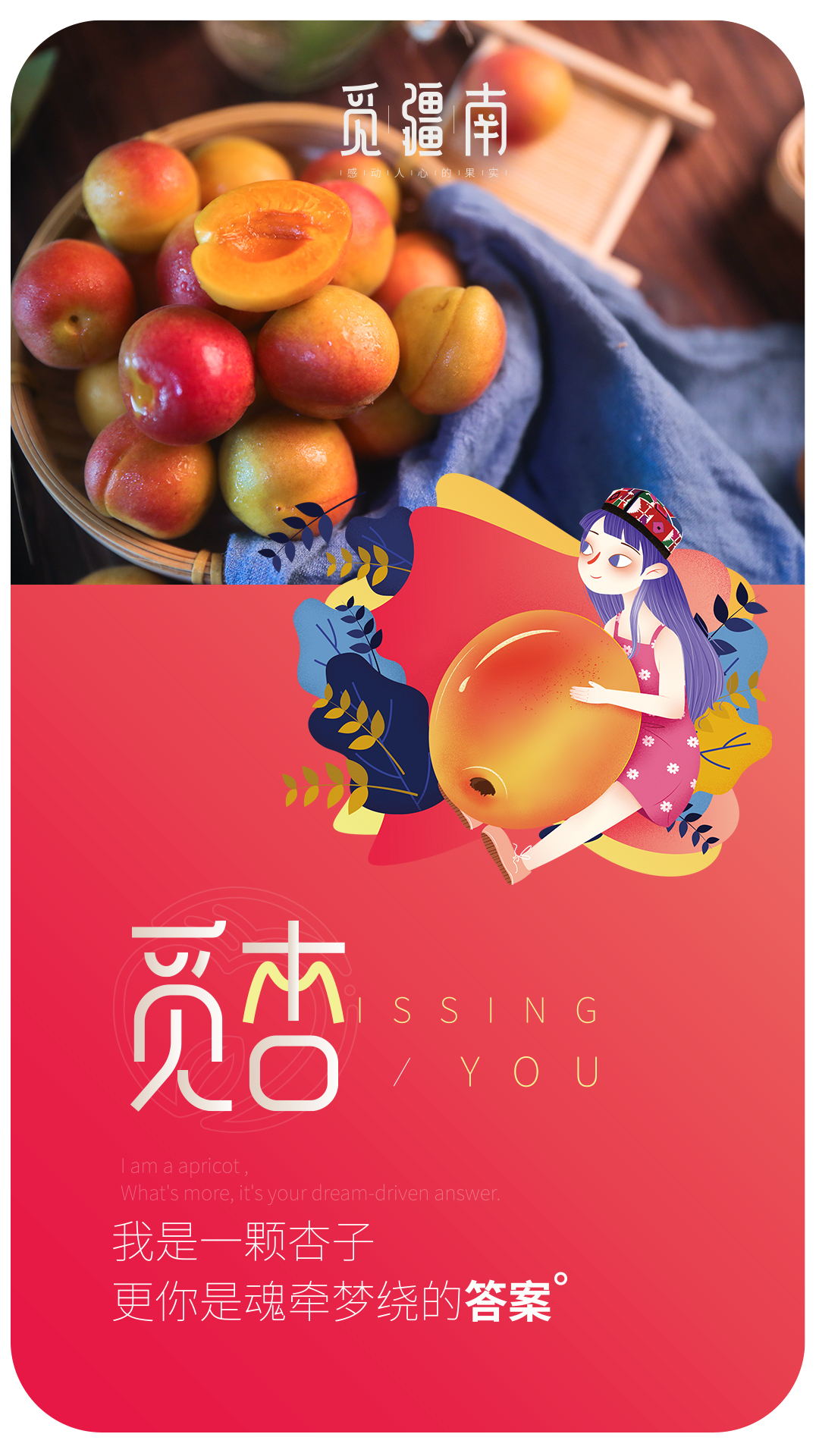 淘寶美工南小南覓疆南新疆小紅杏佟麗婭推薦作品