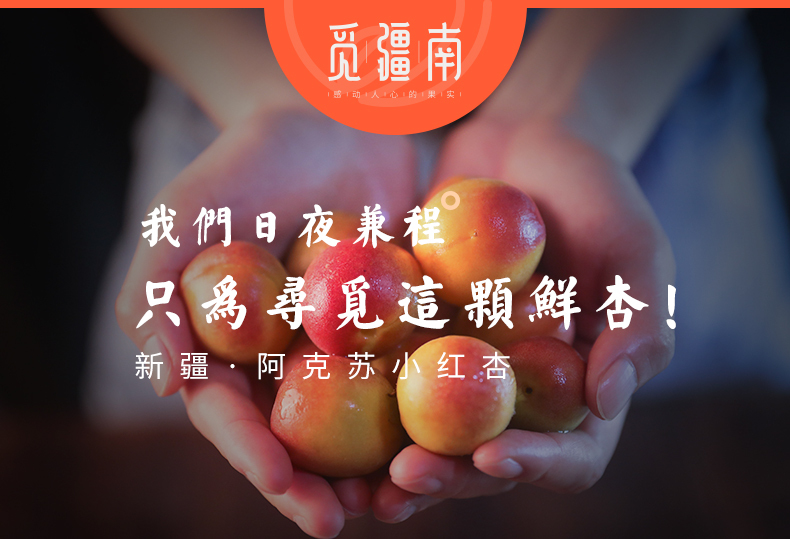 淘寶美工南小南覓疆南新疆小紅杏佟麗婭推薦作品
