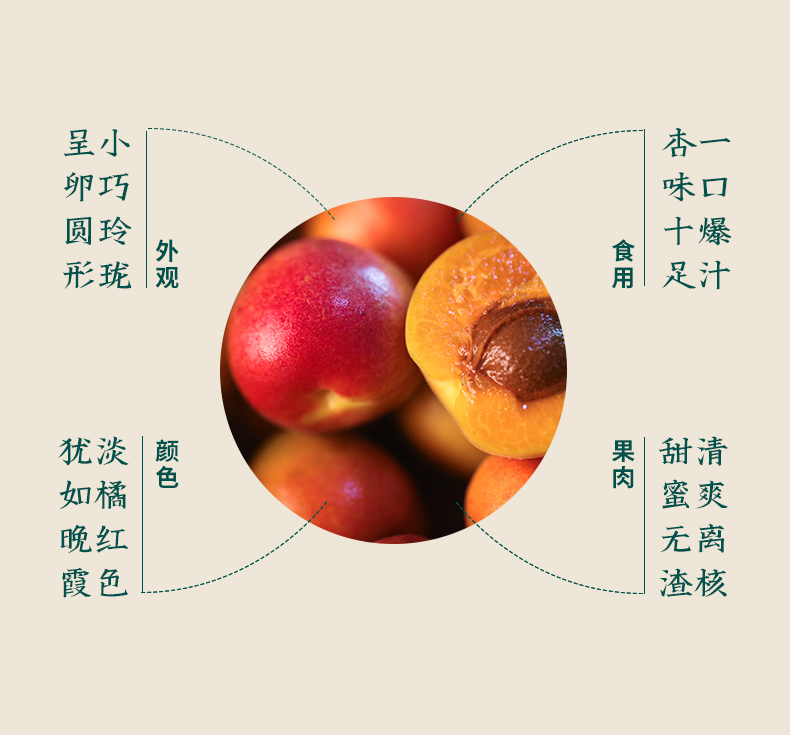 淘寶美工南小南覓疆南新疆小紅杏佟麗婭推薦作品