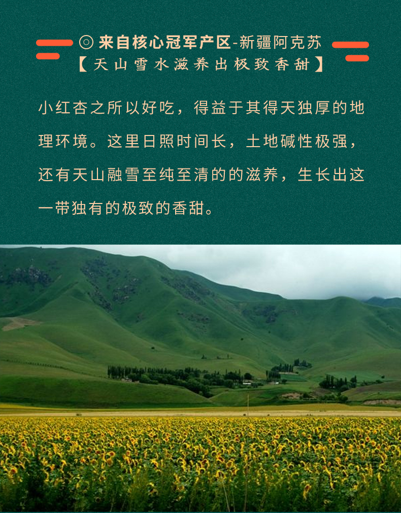 淘寶美工南小南覓疆南新疆小紅杏佟麗婭推薦作品