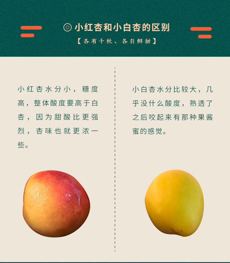 淘寶美工南小南覓疆南新疆小紅杏佟麗婭推薦作品