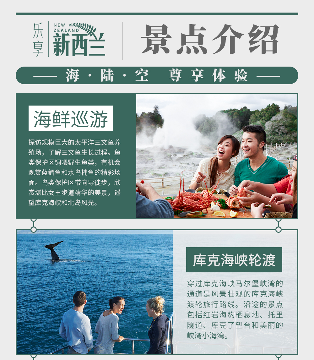 淘宝美工南小南乐享假期新西兰旅游详情海报DM宣传作品