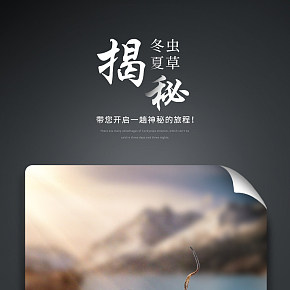 禪意蟲草詳情設(shè)計