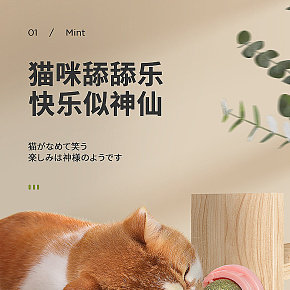 猫玩具棒棒糖详情页