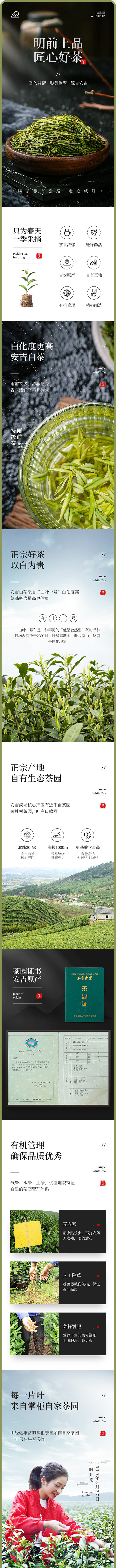 淘寶美工小夢字時尚簡約大氣茶葉詳情頁設(shè)計作品
