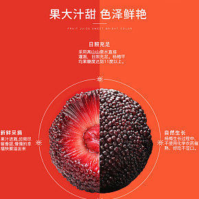 正宗农家水果杨梅