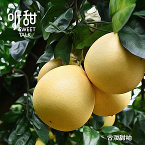 柚子水果生鲜可爱卡通竖屏详情页