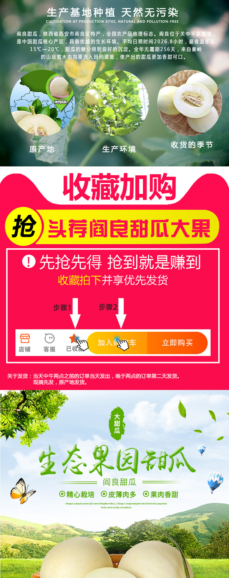 淘寶美工鄒蘇蘇新疆水果甜瓜詳情頁作品