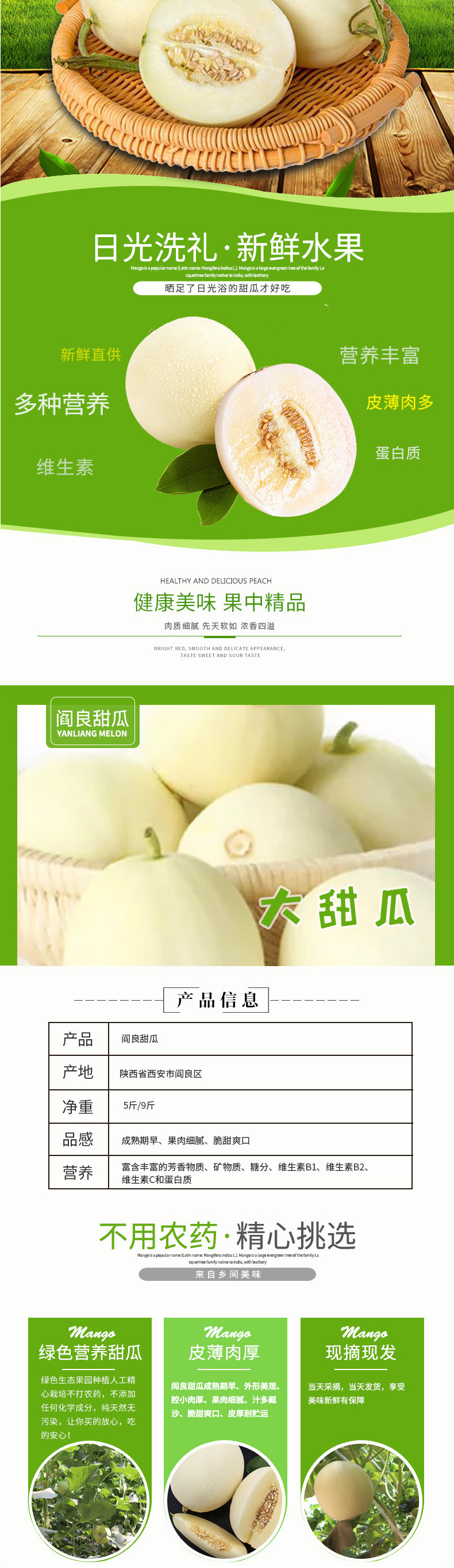 淘寶美工鄒蘇蘇新疆水果甜瓜詳情頁作品