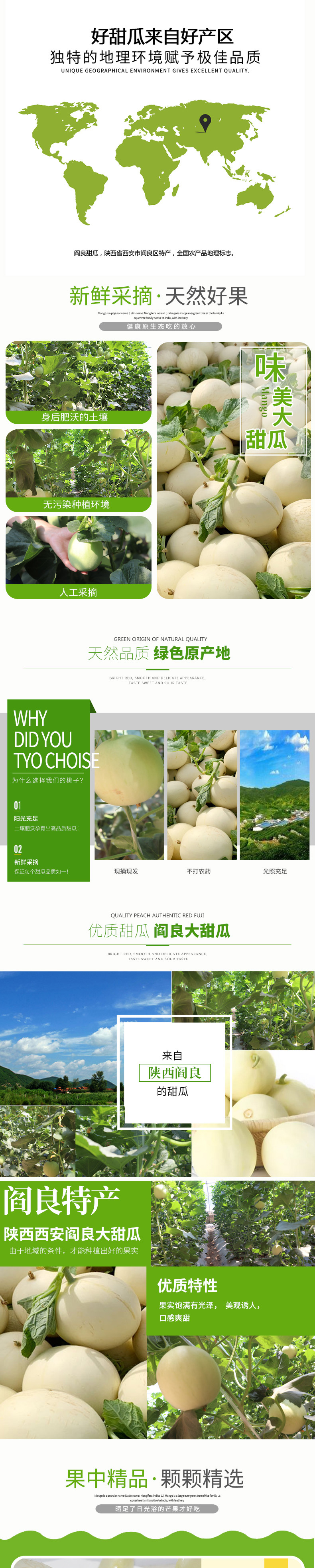 淘寶美工鄒蘇蘇新疆水果甜瓜詳情頁作品