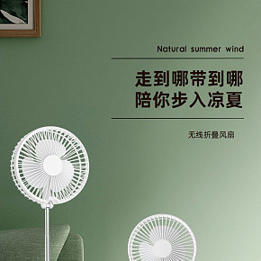 小家电 家用电风扇