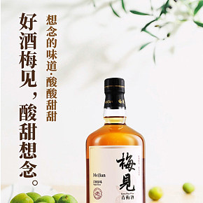 食品飲料果酒青梅