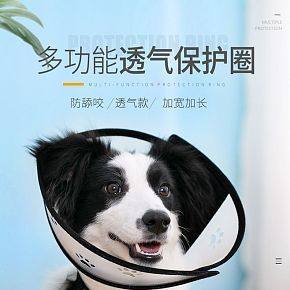宠物透气保护圈