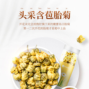 茶叶胎菊王头茬采摘杭白菊花茶罐装详情页.jpg