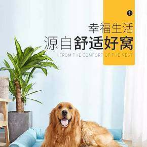 狗狗宠物详情页设计