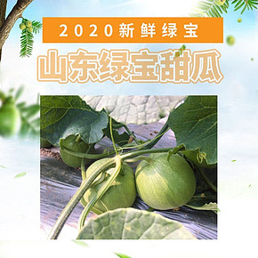 山东绿宝甜瓜新鲜绿宝石当季水果详情页