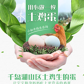 农产品土鸡土鸡蛋