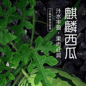 农产品西瓜蔬菜