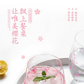 家用餐飲杯子詳情