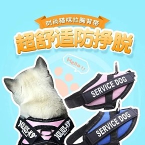 時(shí)尚貓咪拉胸背帶