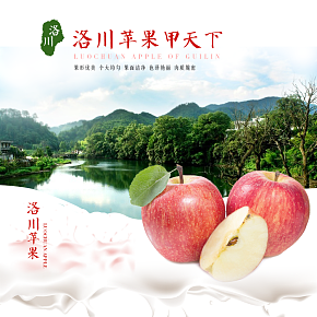 食品類目詳情