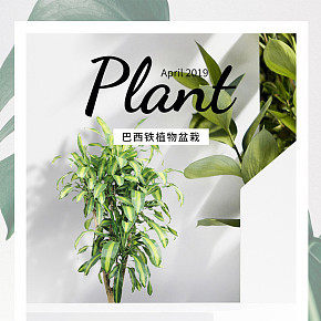 首页详情页设计