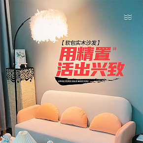 雙人沙發(fā)北歐小沙發(fā)家具詳情