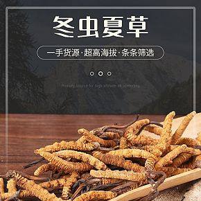 冬蟲夏草詳情頁(yè)設(shè)計(jì)