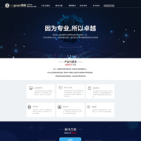 網(wǎng)站首頁設(shè)計(jì)