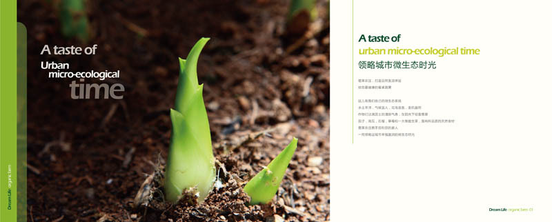 淘寶美工懂懂平面畫冊設(shè)計(jì)作品