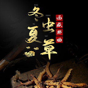 中药材冬虫夏草详情页