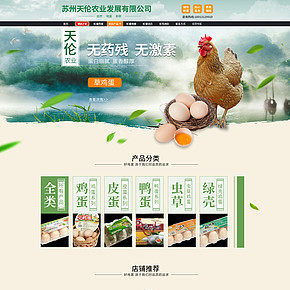 首页详情页设计