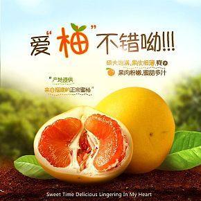 新鮮柚子詳情頁
