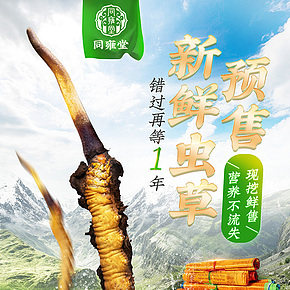 新鮮蟲草預(yù)售海報