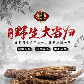 藏當(dāng)歸詳情頁面