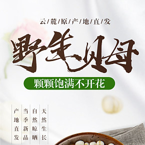 川貝母詳情頁面