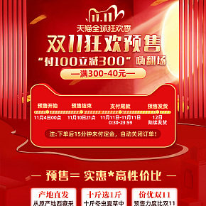 雙11預(yù)售狂歡節(jié)首頁海報