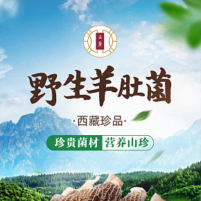 羊肚菌詳情頁面