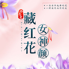 藏紅花詳情頁面