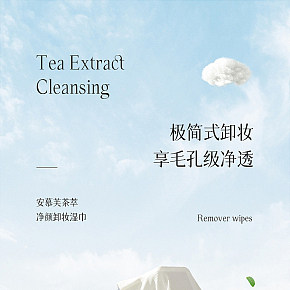 化妆品 日用品美妆 彩妆卸妆湿巾详情