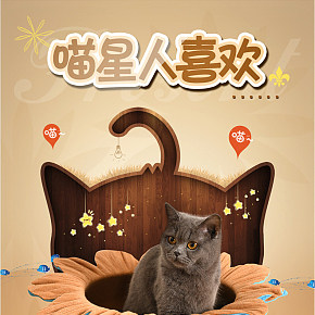 电商平面类设计详情