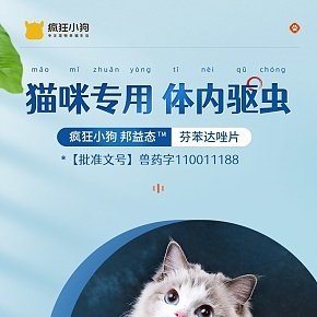 猫咪专用，体内驱虫